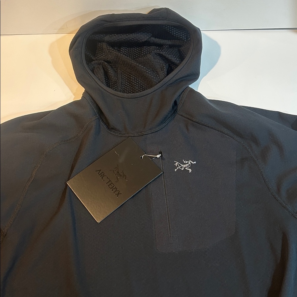 Arc’teryx Delta Pullover Hoody - Picture 5 of 13